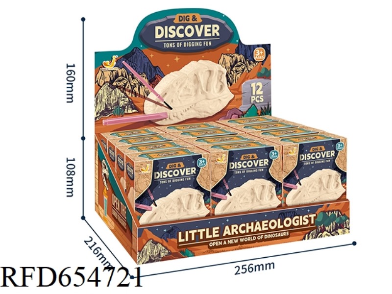 ARCHAEOLOGICAL EXCAVATION OF 3D DINOSAUR BONES
DISPLAY BOX
