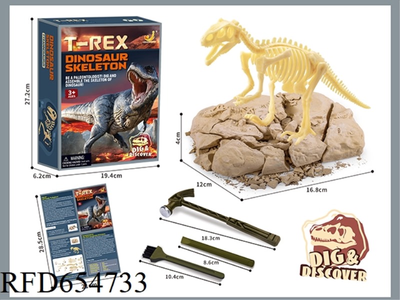 ARCHAEOLOGICAL ASSEMBLY OF TYRANNOSAURUS REX
