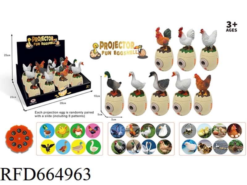 INTERESTING POULTRY PROJECTION SERIES 12PCS