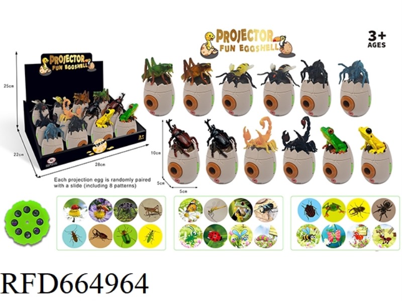 INTERESTING INSECT PROJECTION SERIES 12PCS