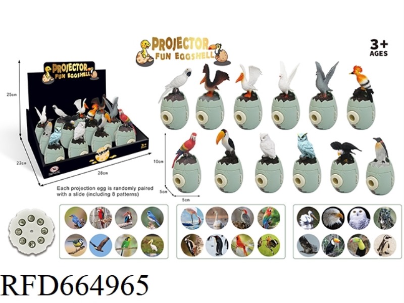 INTERESTING BIRD PROJECTION SERIES 12PCS