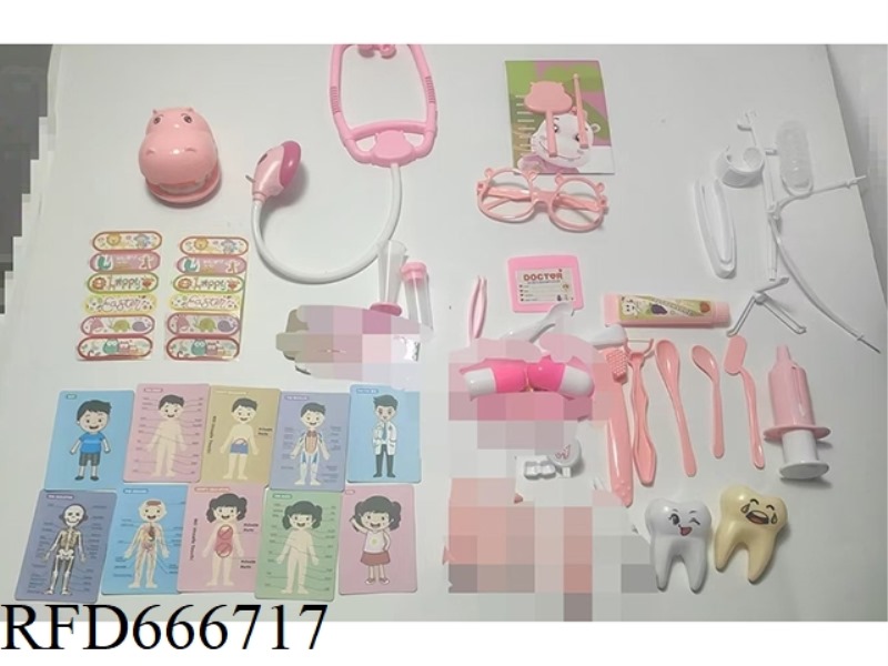 HUMAN BODY MODELSPECIAL OFFER OF 39-PIECE DENTAL SET WITH VISION CHART
