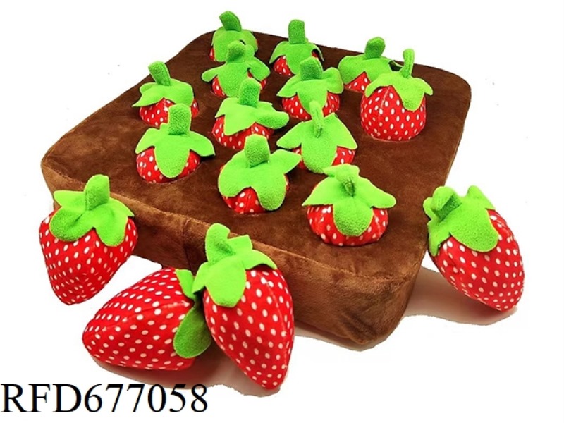 12-HOLE RADISH/STRAWBERRY PULLING