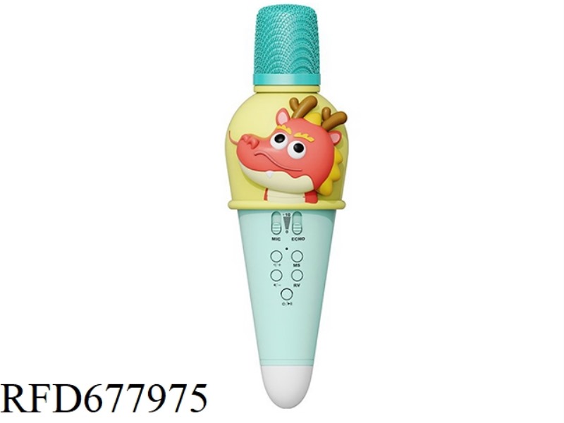 CHINA DRAGON MICROPHONE