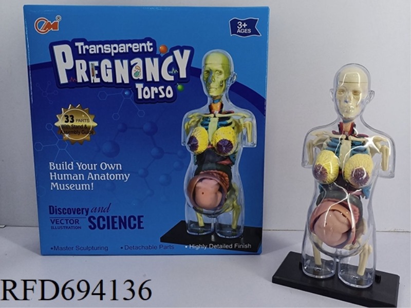 HUMAN BODY COMBINATION
