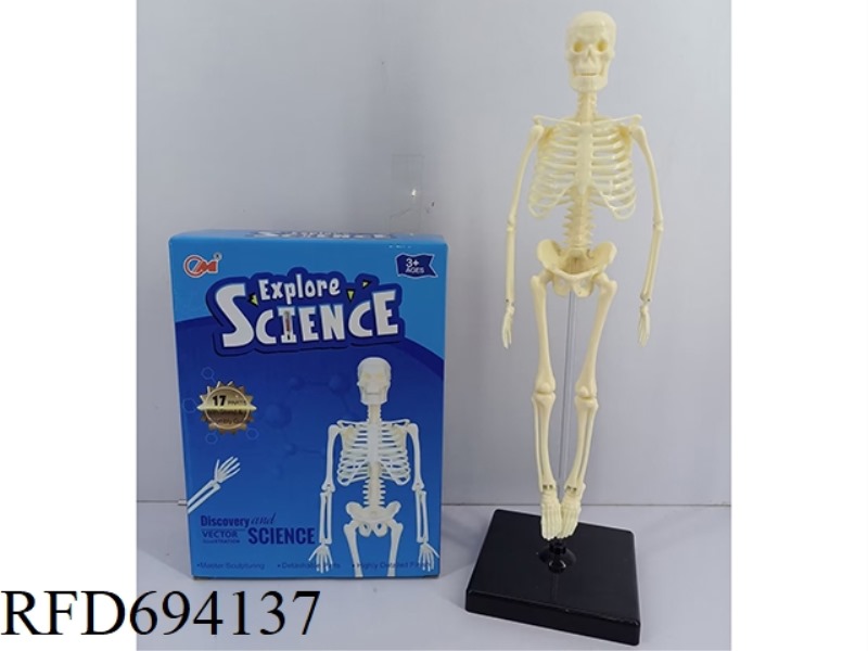HUMAN BODY COMBINATION