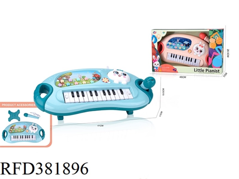 DATUQIN ELECTRONIC ORGAN WITH MICROPHONE