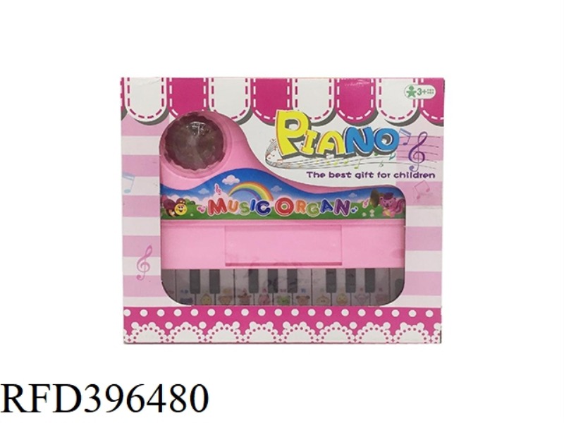 ELECTRONIC PIANO BAG LIGHTING