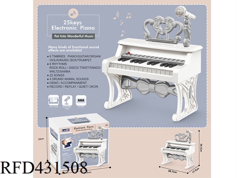 25 KEY ELECTRONIC ORGAN