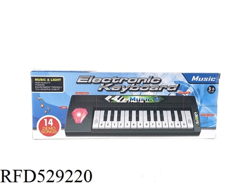 LIGHTS AND MUSIC ELECTRONIC ORGAN