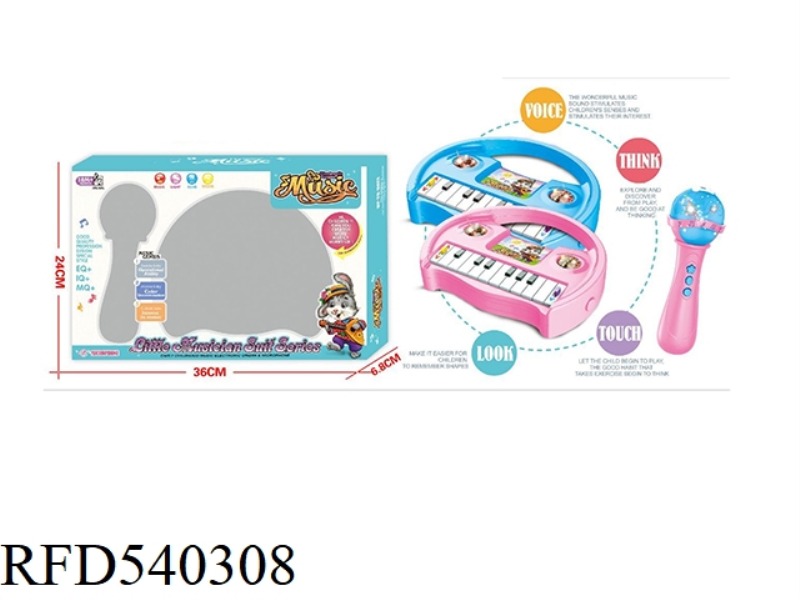MUSIC LIGHTING CARTOON ELECTRONIC ORGAN AMPLIFIER MICROPHONE SET