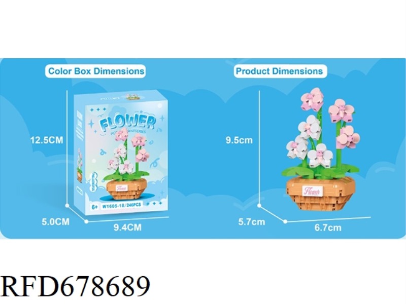 246 PIECES OF PHALAENOPSIS