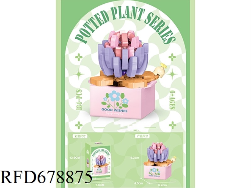 BOOT GIFT SHOP: 110 PIECES