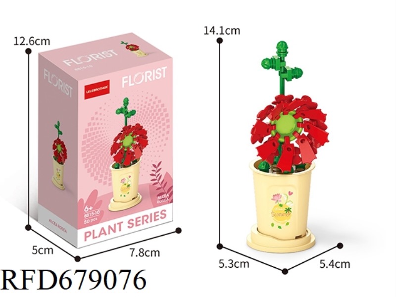 50 PIECES OF MICRO-PARTICLE BUILDING BLOCKS OF SUMMER HIBISCUS MANIHOT