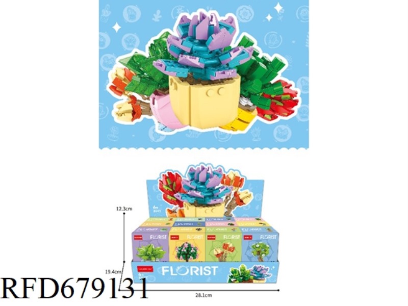 EACH SUCCULENT POTTED PLANT IS PACKED IN 3/12 PIECES
