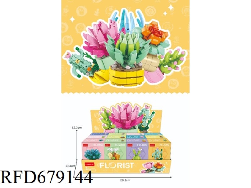 2 OUT OF 12 SUCCULENT POTTED PLANTS