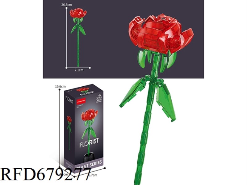 60 PIECES OF RED ROSES