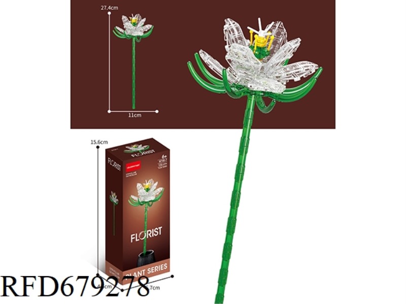 133 PIECES OF NIGHT-BLOOMING CEREUS