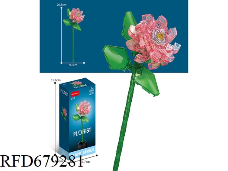 84 PIECES OF CAMELLIA