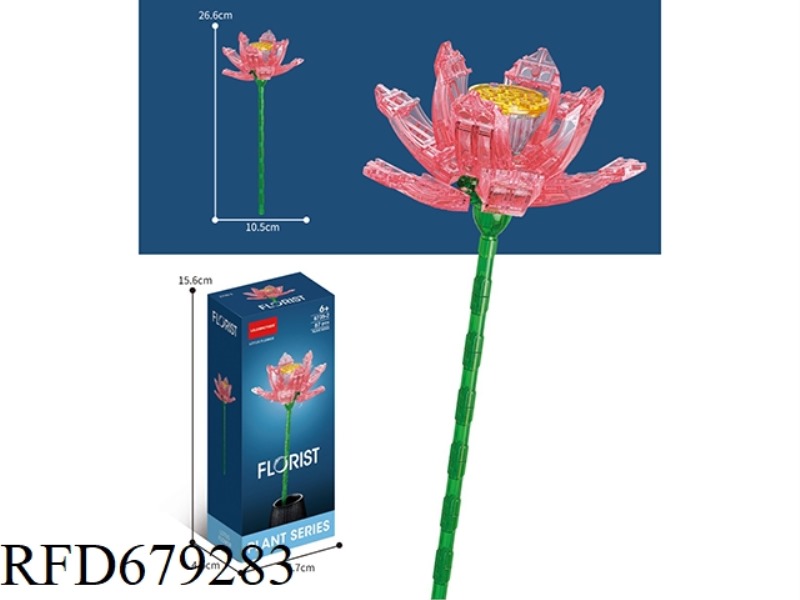 91 PIECES OF LOTUS FLOWERS