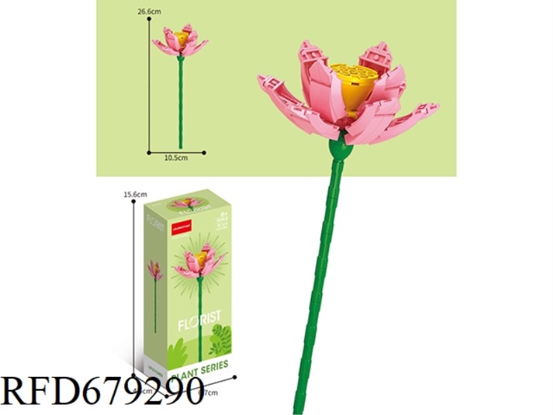 LOTUS 87PCS
