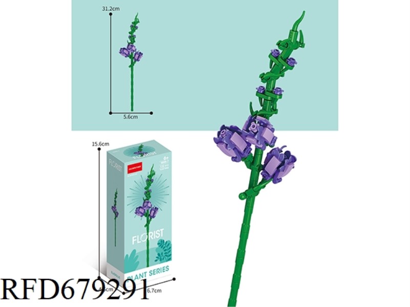 GLADIOLI 122PCS