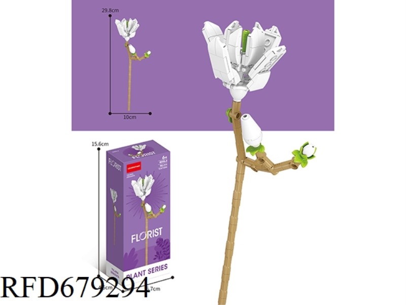 96 PIECES OF MAGNOLIA