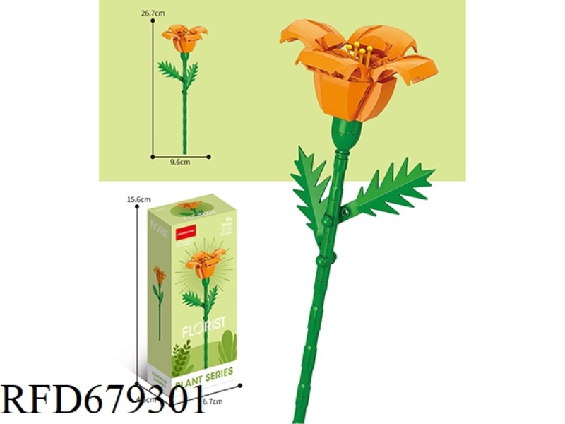 71 PIECES OF FLOWER WATER CHESTNUT GRASS
