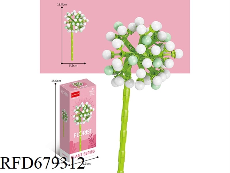 123 PIECES OF PRUNUS MUME FRUIT