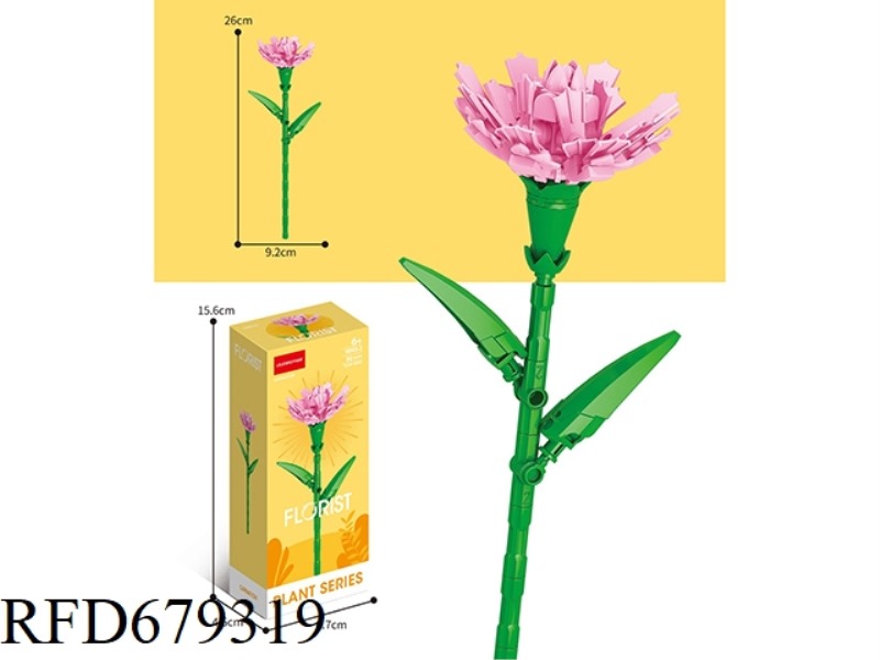 90 CARNATIONS