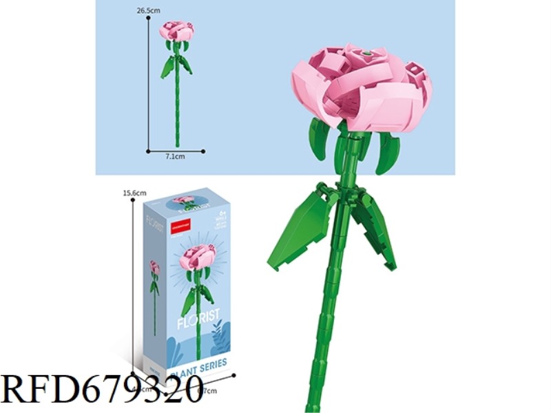 60 PIECES OF PINK ROSES