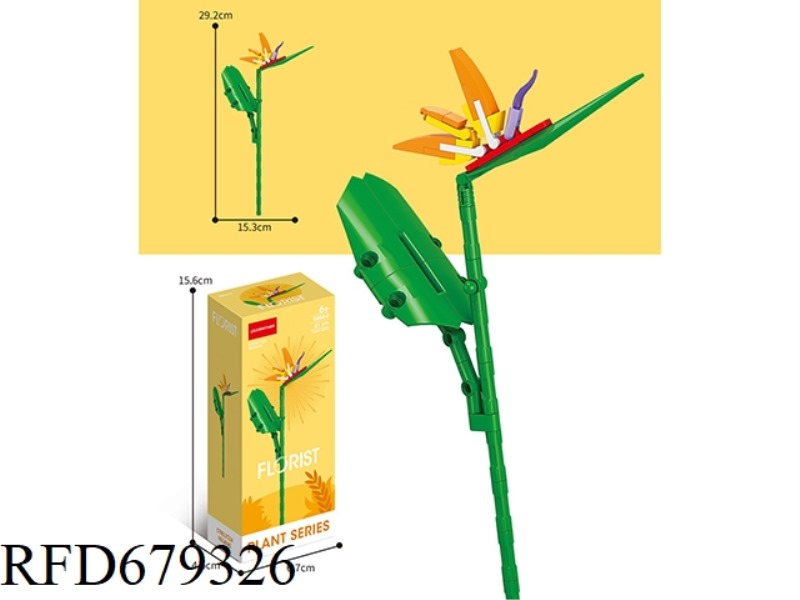 61 PIECES OF BIRD OF PARADISE