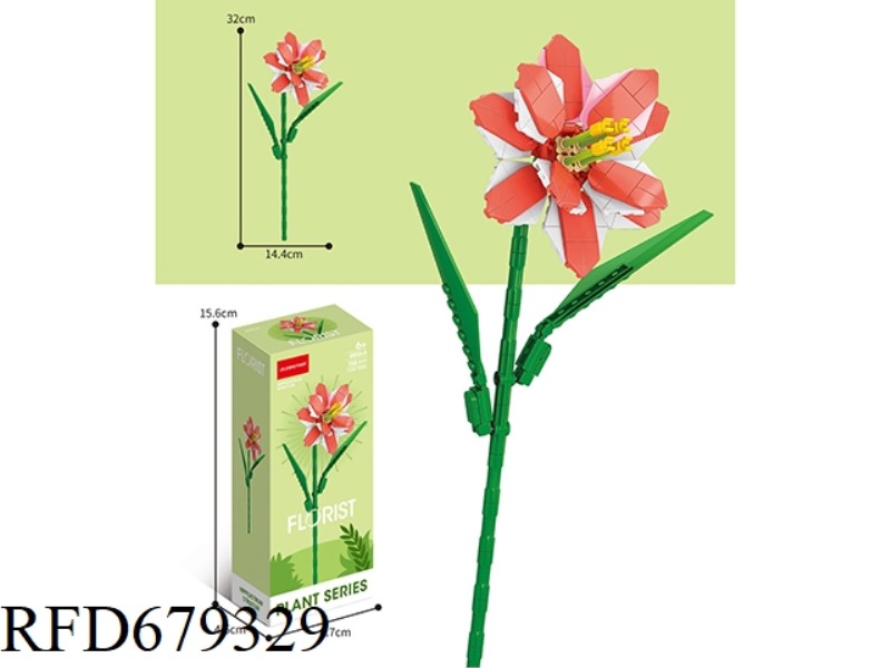 158 PIECES OF HIPPEASTRUM