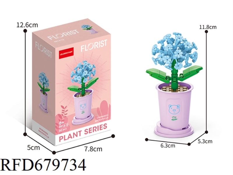60 PIECES OF HYDRANGEAS
