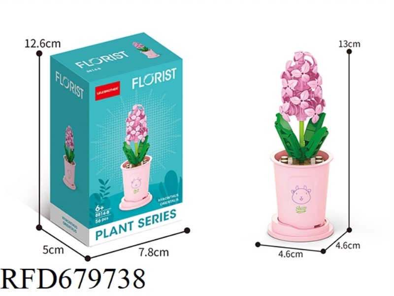 56 HYACINTHS