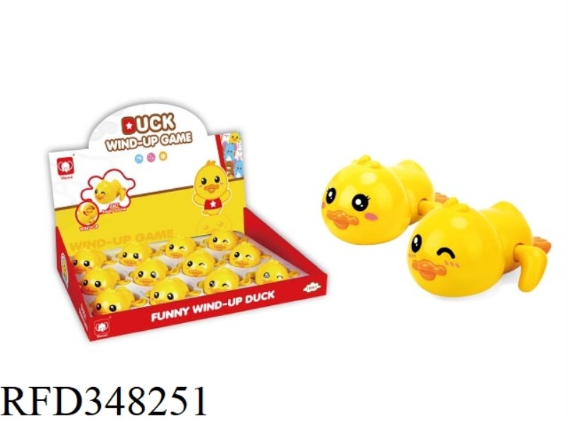 PLAYING DUCK 12PCS
