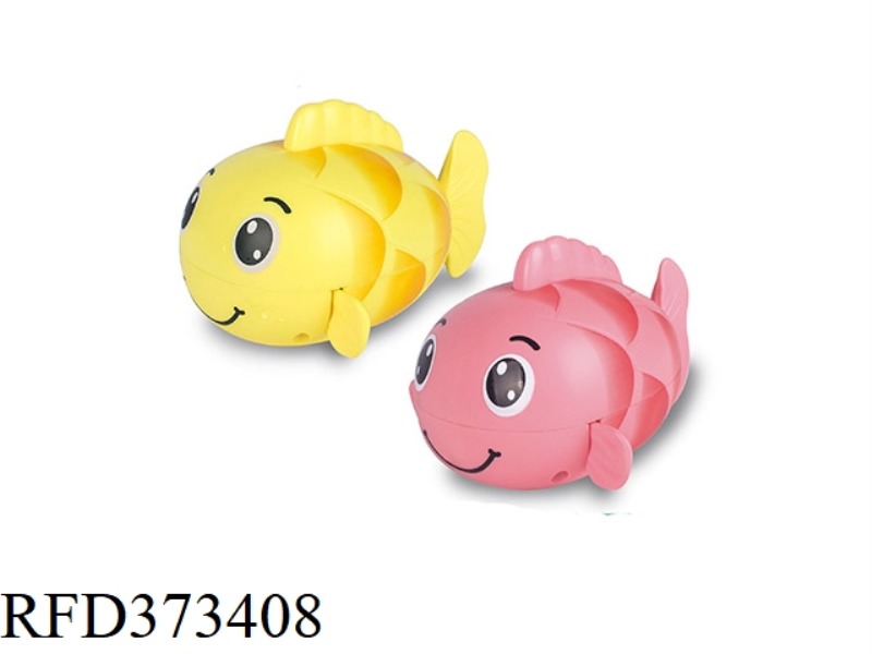 CUTE CARP (WINDING UP)