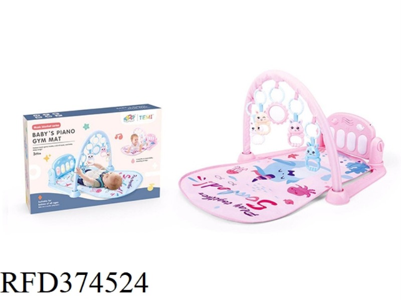 BABY FITNESS FRAME