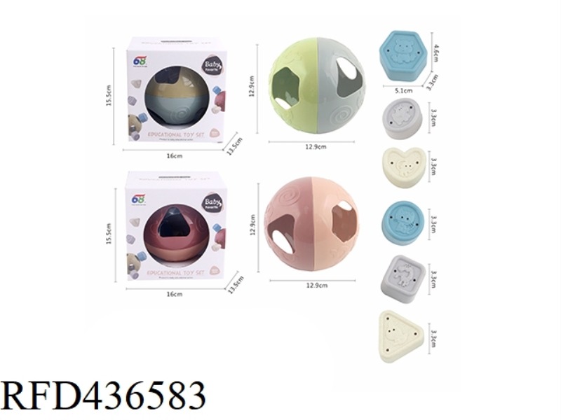 CONGRUENT PUZZLE COGNITIVE WOODEN BALL