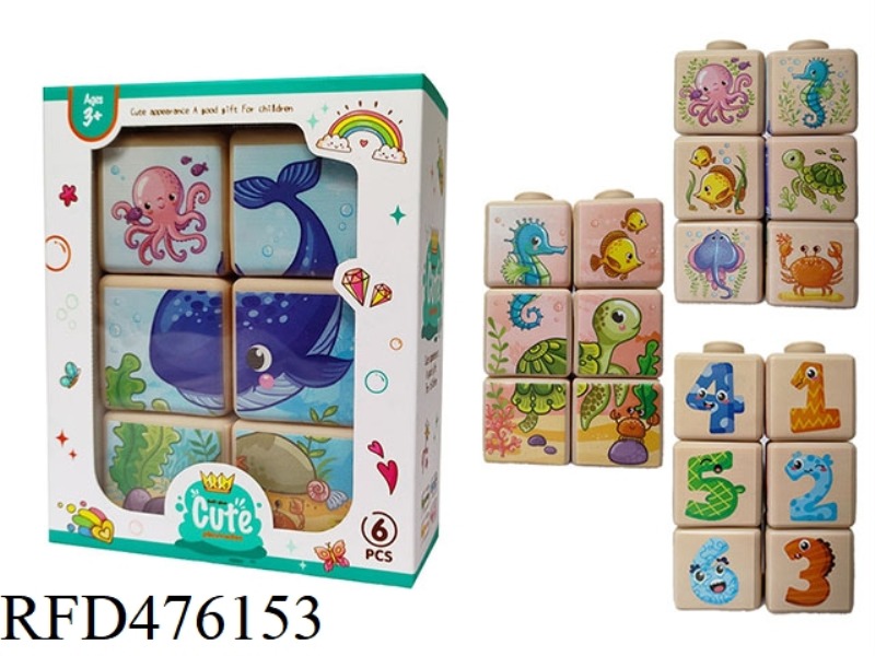 SOFT GLUE 4-SIDED PUZZLE 6 PIECES