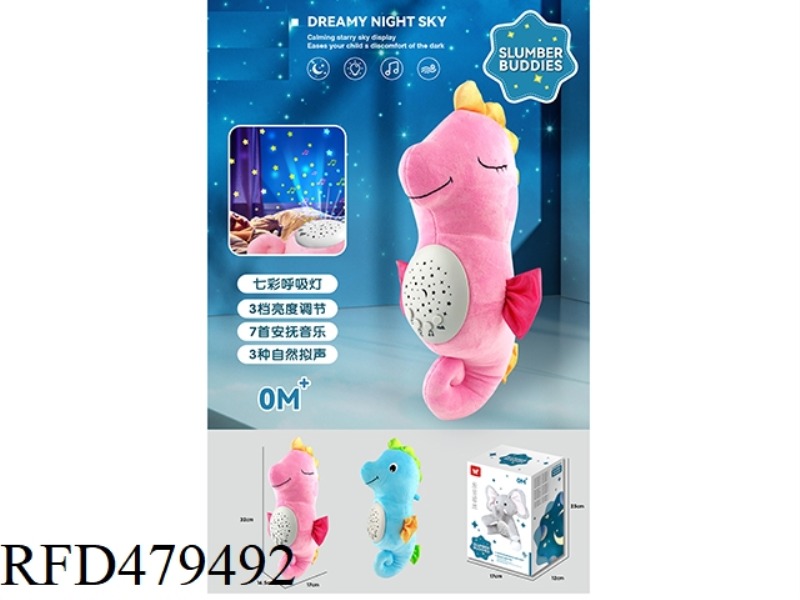 SEAHORSE APPEASE COLORFUL PROJECTION (TWO MIXED)