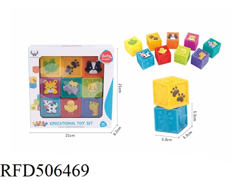 ENAMEL SQUARE COGNITION