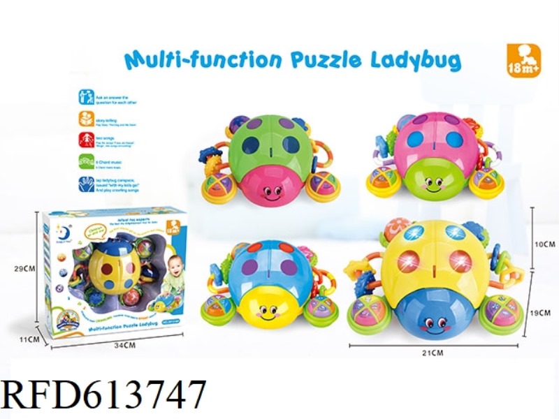 PUZZLE LADYBUG