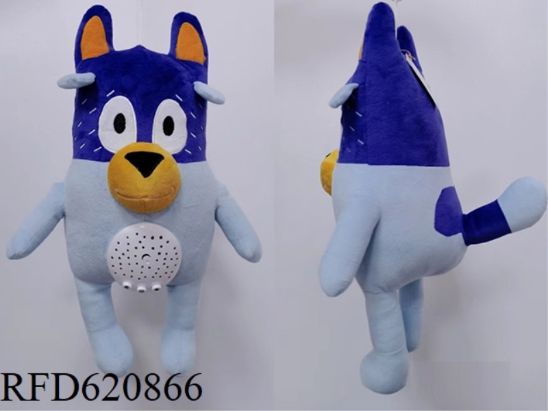 FULL STAR PROJECTION. - BLUEY