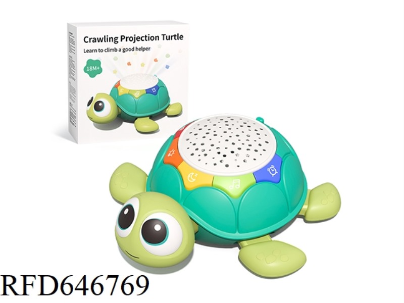 CRAWLING TO SOOTHE THE PROJECTED TURTLE