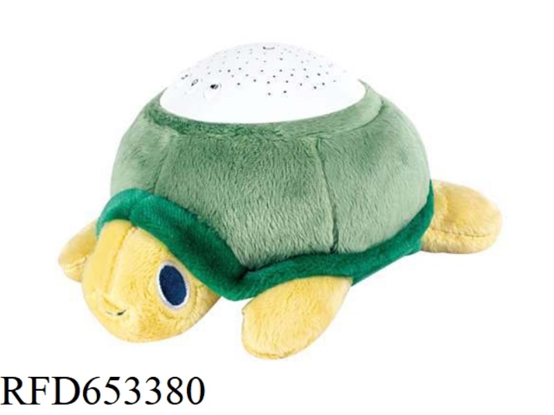 SUPER SOFT TURTLE PROJECTION