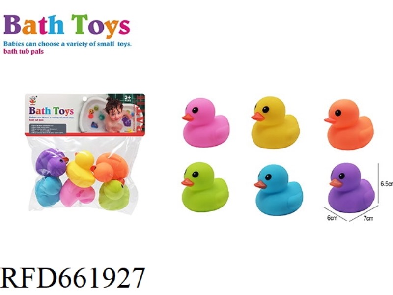 LOVELY COLORFUL DUCK