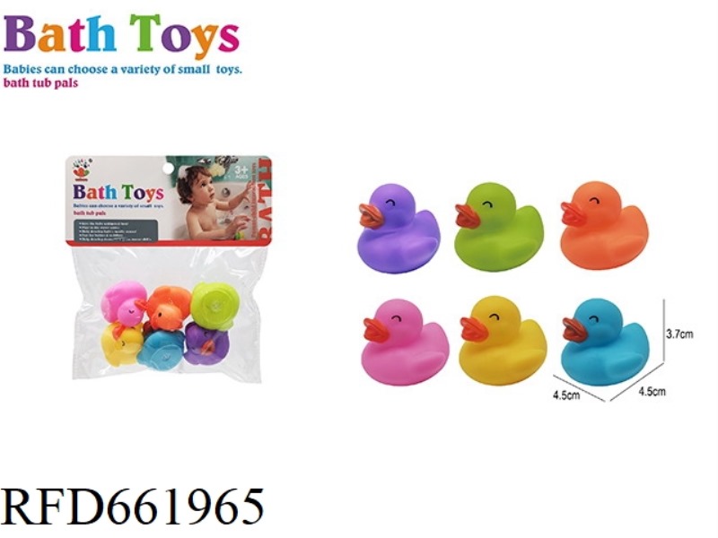 LOVELY COLORFUL DUCK