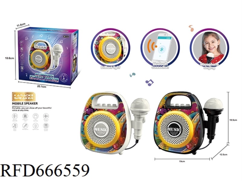 SINGLE SPEAKER
