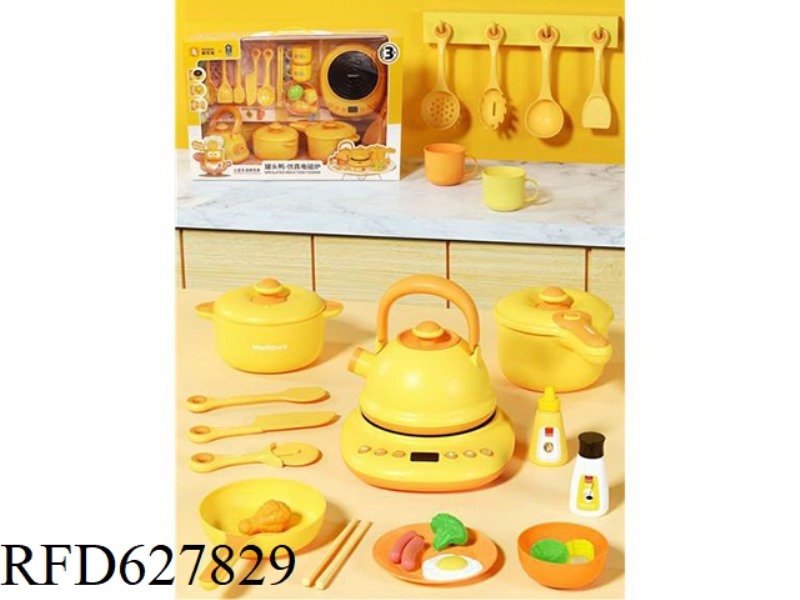 INDUCTION COOKER